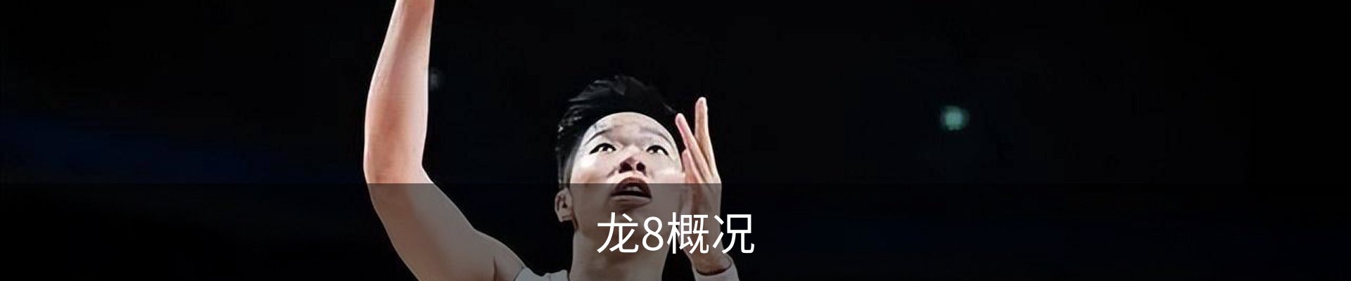 龙8概况
